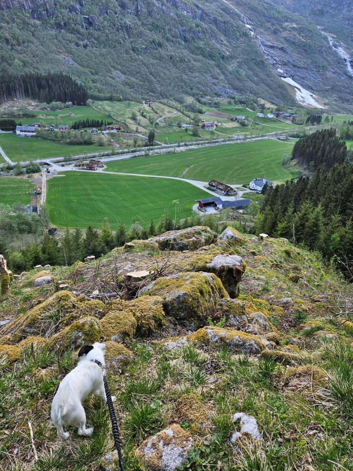 Вилла Trollbu Aabrekk Gard Briksdalsbre Экстерьер фото
